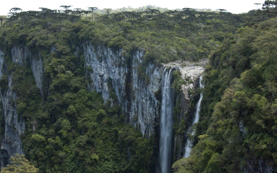 Cambará do Sul - Aparados da Serra