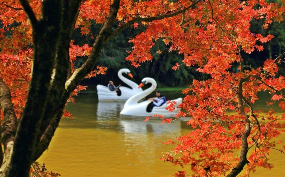 Nova Petropolis - Parque Aldeia do Imigrante