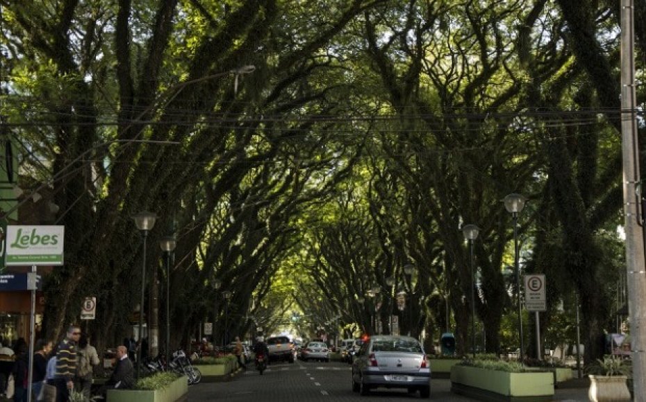 Santa Cruz do Sul - Tunel Verde