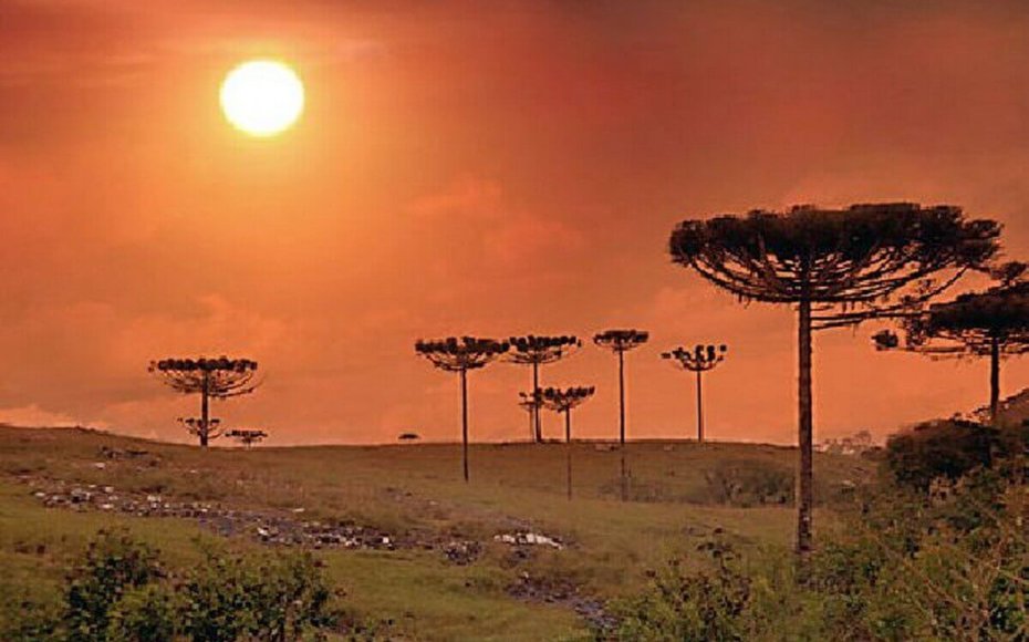 São Francisco de Paula - Por do Sol