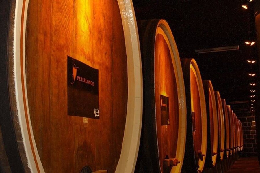 Garibaldi - Vinícola Peterlongo - Pipas